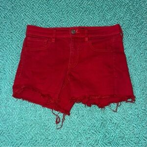 Express Red Distressed Women Shorts